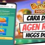 Cara Daftar Alat Mitra Higgs Domino RP